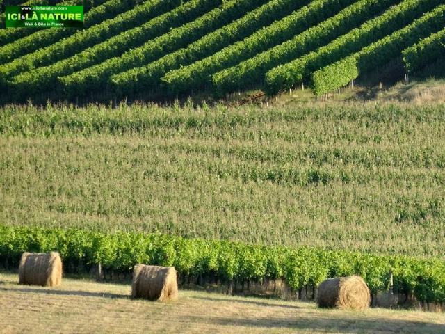 ici et la nature pictures france