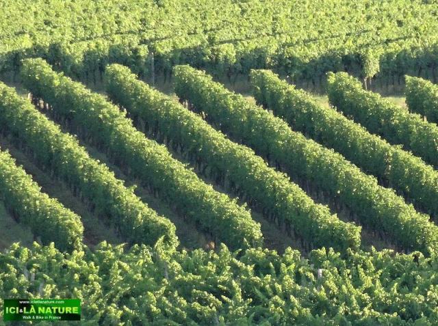 ici et la nature pictures france walking