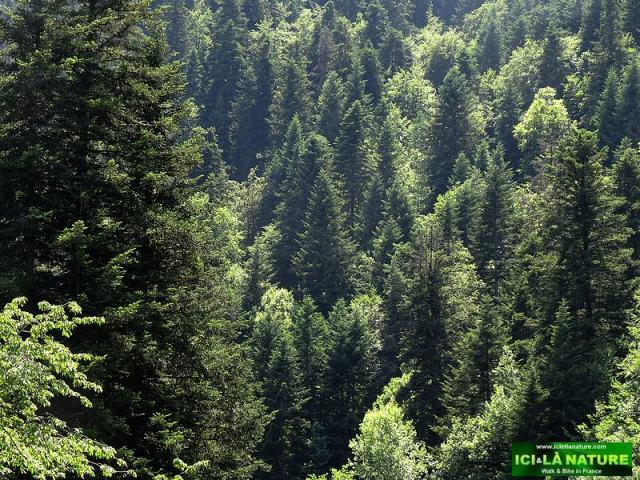 31-the way of st james france