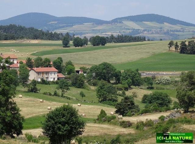 37-hiking france central landscape
