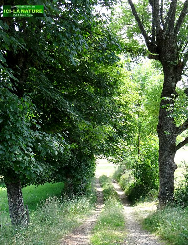 38-liitle way margeride