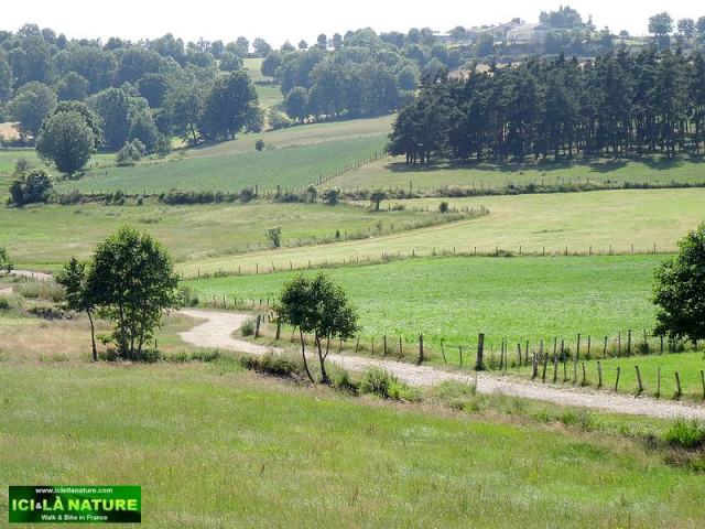 61-french countryside