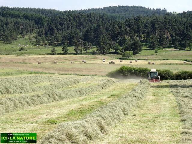 63-landscape central france