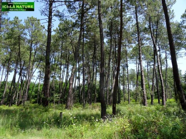 05-cycling bordeaux france countryside