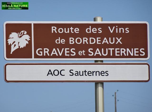 14-biking wine road sauternes