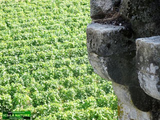 bordeaux travel bike