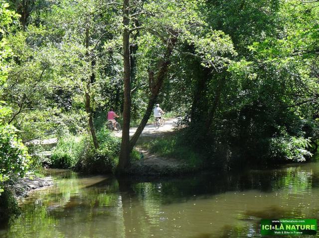23-ciron river near bordeaux