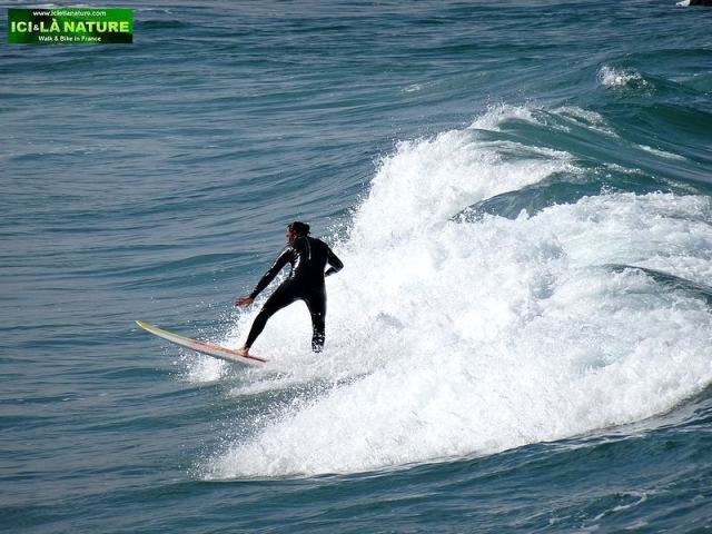 25-surf atlantic coast