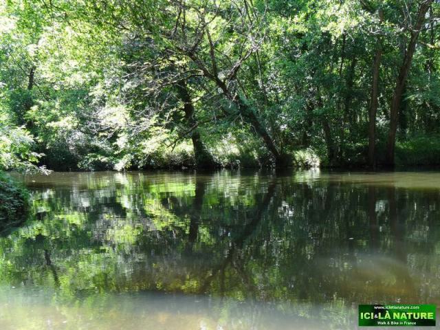 33-landscape river near bordeaux ciron