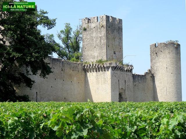 36-budos castle landscape vineyards