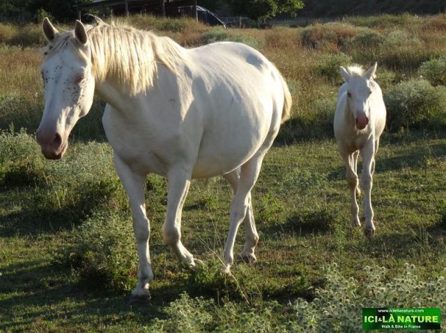 ICI ET LA NATURE TRAVEL