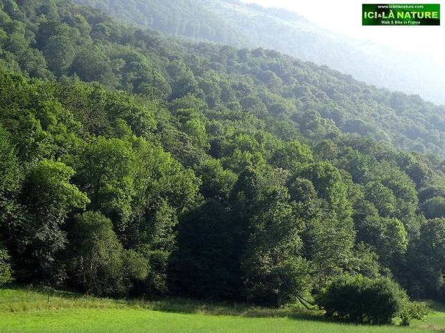 46-camino lourdes arudy