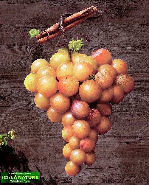 walk bike france bordeaux