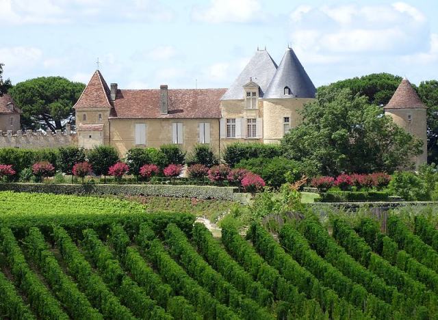 chateau yquem