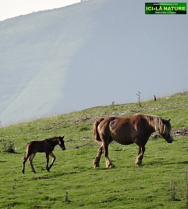 08-mythic paths col du soulor tour de france