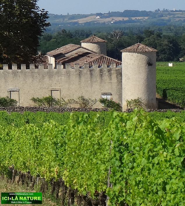 ici et la nature pictures