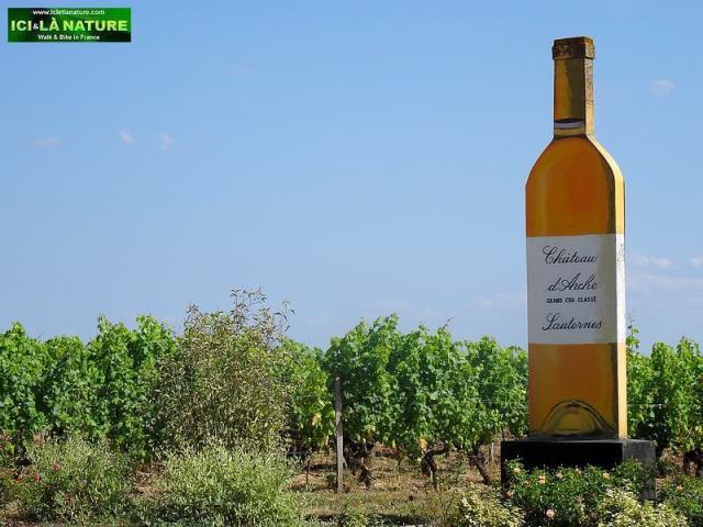 25-chateau d' arche sauternes