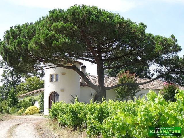 france landscape vineyards