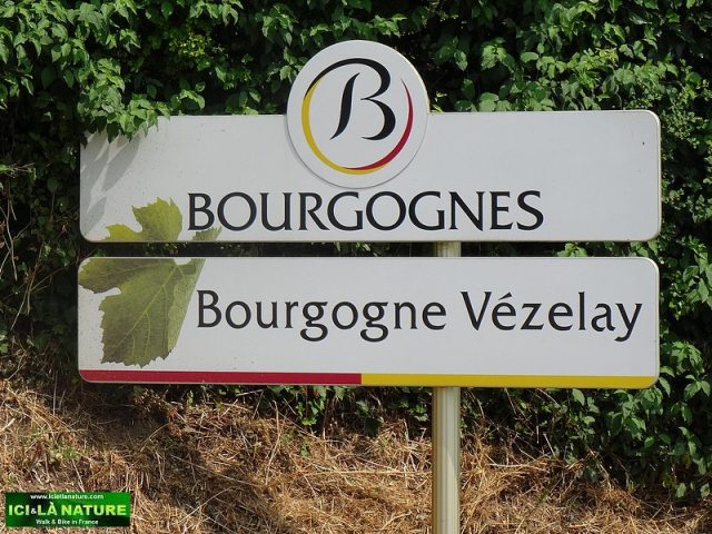 30-Burgundy vezelay wine