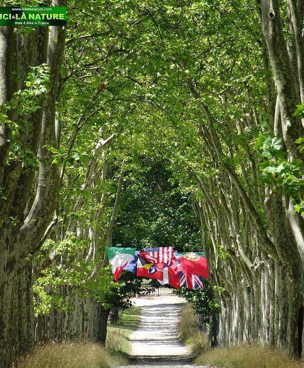 32-bordeaux biking chateau guiraud