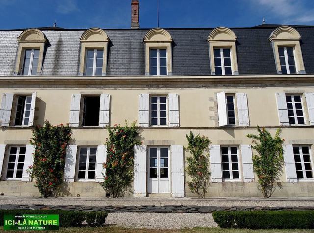 35-chateau guiraud sauternes bordeaux