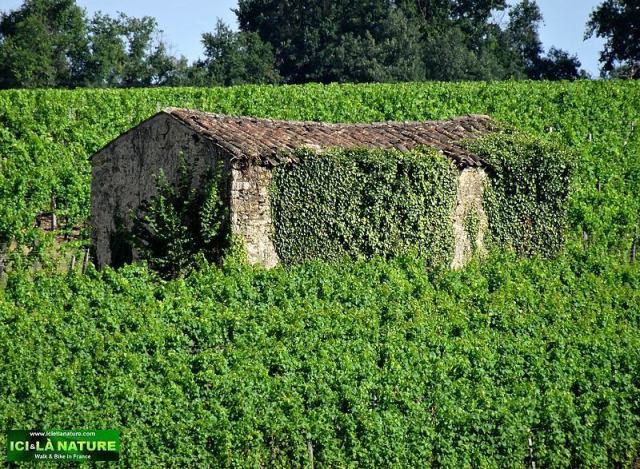 biking landscape france