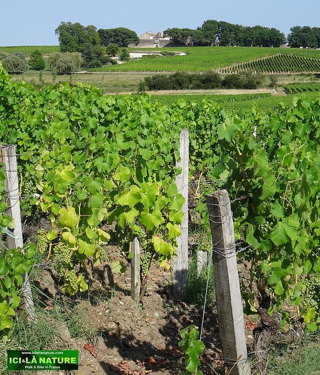 biking france bordeaux 