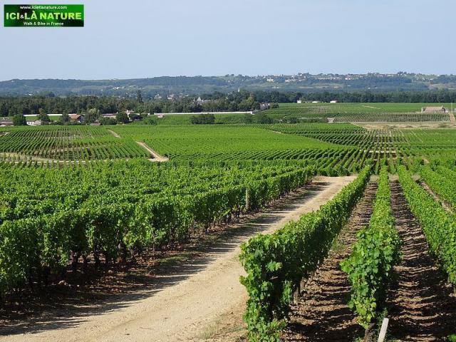 47-landscape ciron valley