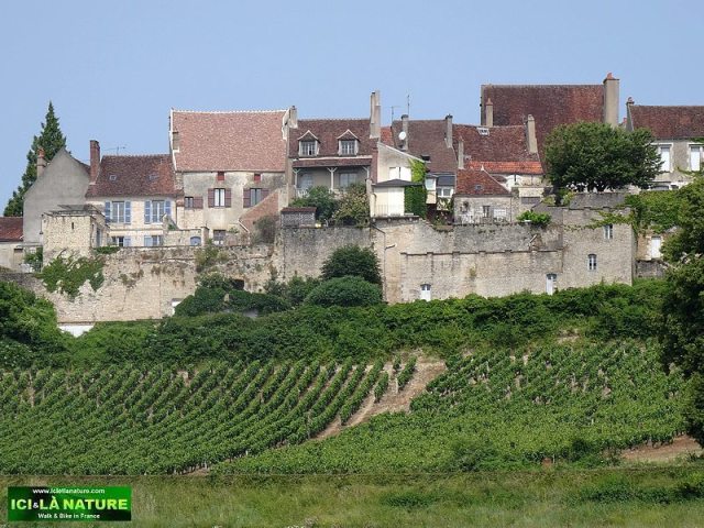 51-jakobsweg france vezelay