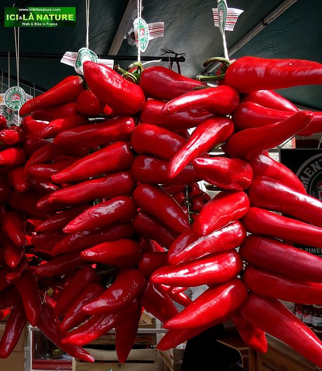 57-biking holidays in france