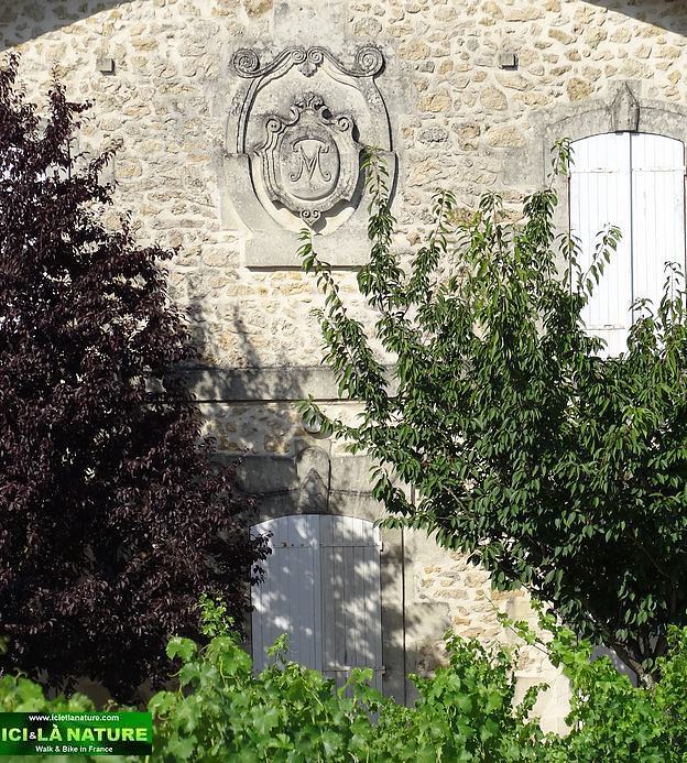 58-wine chateau biking bordeaux
