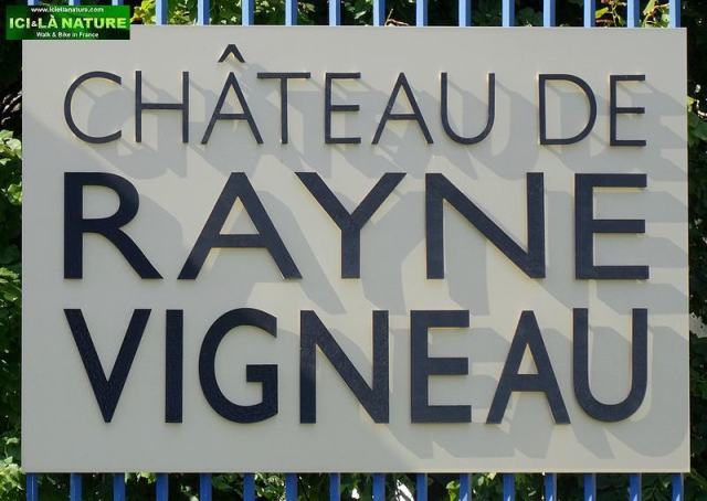61-chateau de rayne vigneau