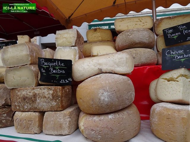 66-basque cheese espelette