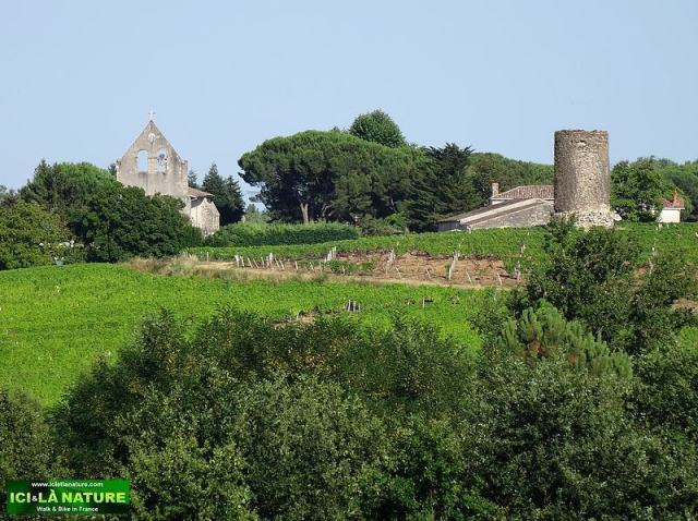 66-biking holidays france bordeaux