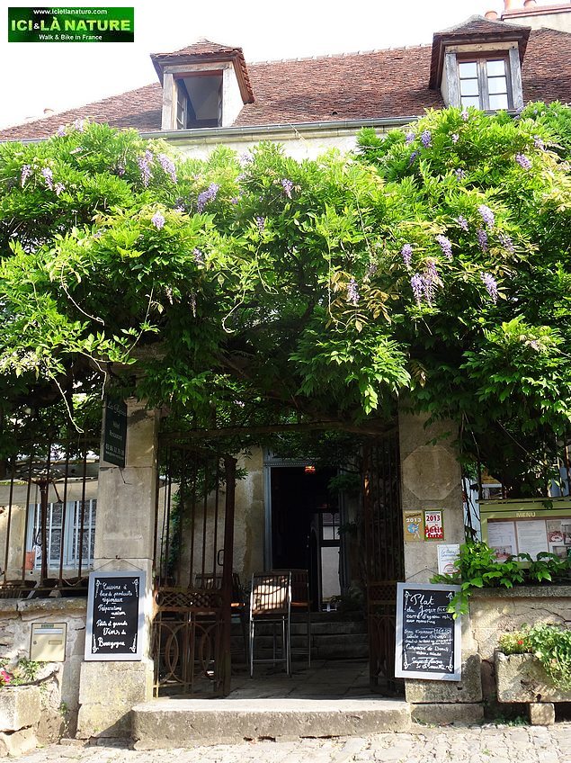 66-hotel les glycines vezelay