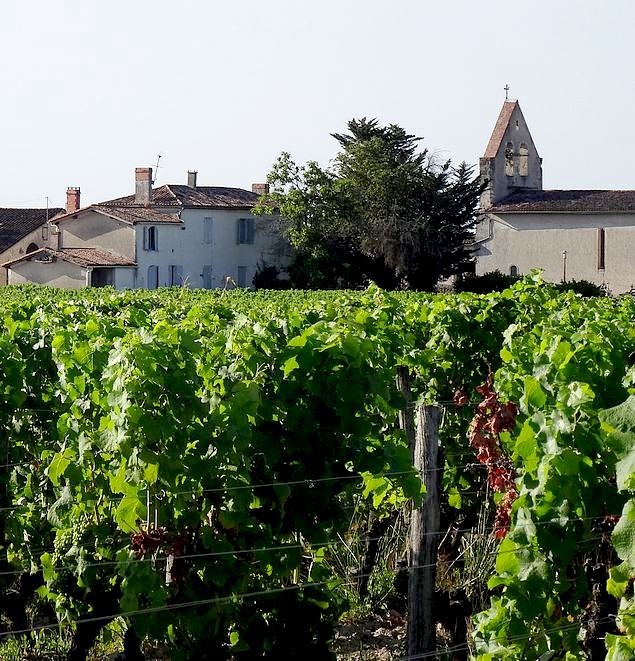 69-landscape france bordeaux vineyards
