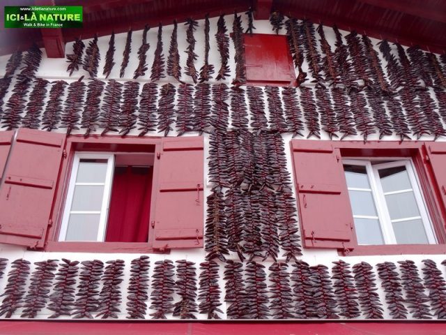 70-chili pepper basque house