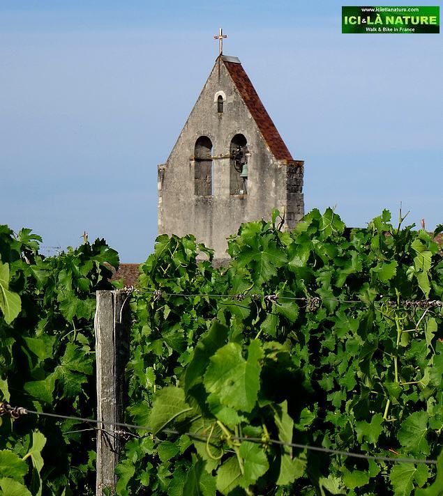 71-cycling holidays france bordeaux vineyards