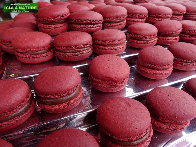 74- french basque macarons