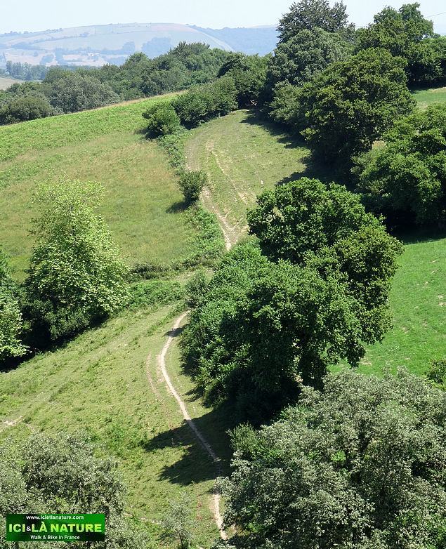 87-walking way in france basque country