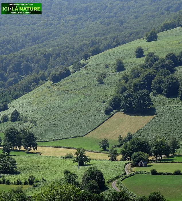 90-way in france landscape french countryside