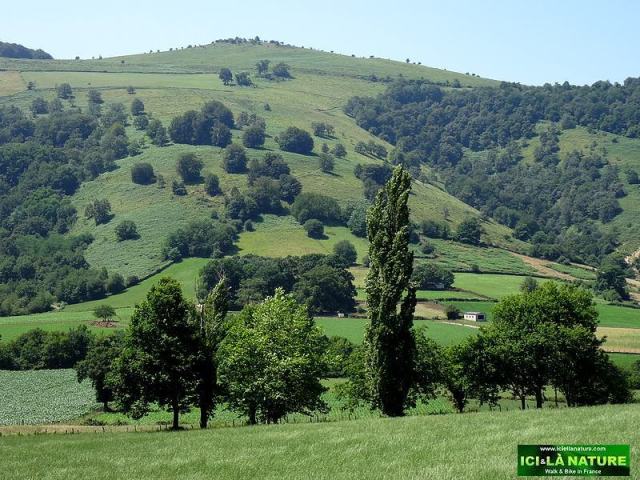 91-pilgrimage camino way in france