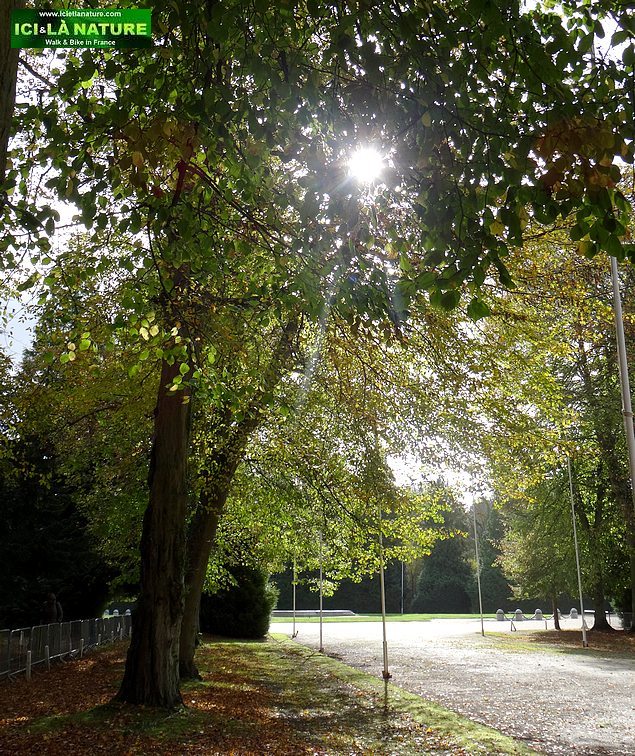 13-memorial armistice clearing compiegne forest