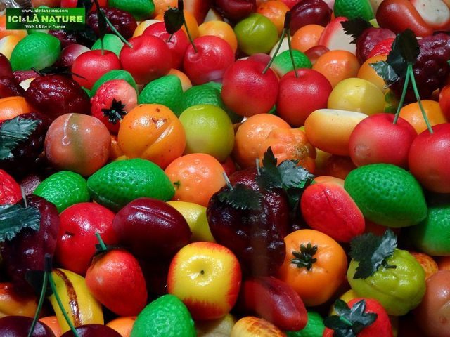 58-walking holidays in france