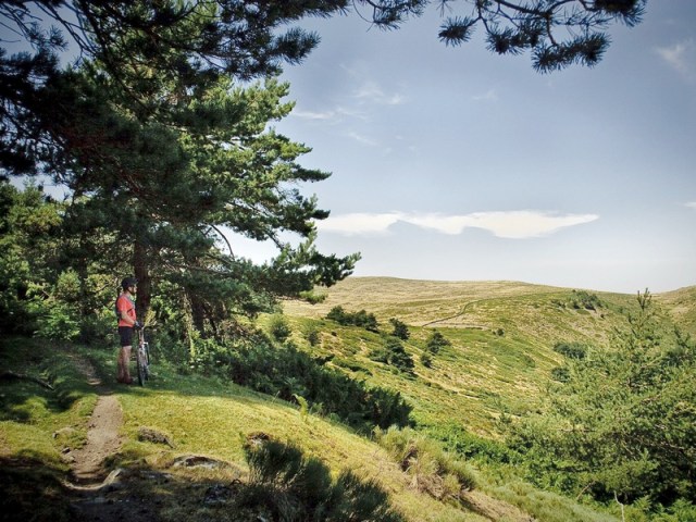 Mountain Biking sierra de guadarrama madrid