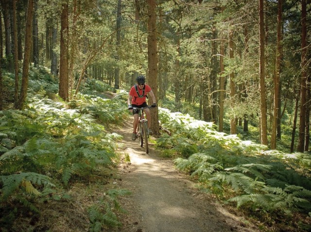 Mountain Biking sierra de guadarrama madrid