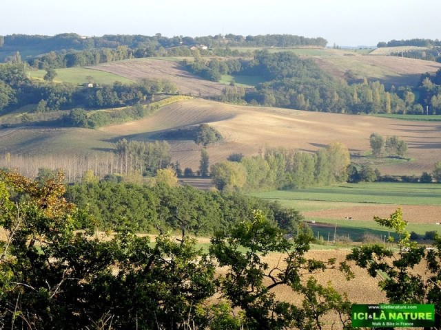 20-hike way st james camino trail cahors lauzerte