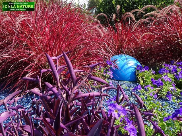 travel france cycling around cognac