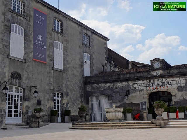 44-cognac cycling holidays france