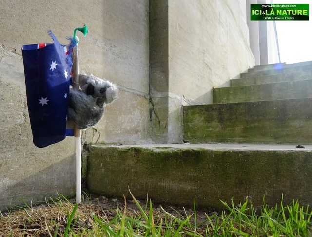47-australian battles france memorial